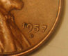 Copy of DSC_0001.jpg