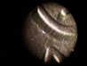 100_4603.JPG