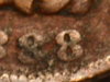 RSCN3024.JPG
