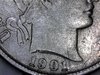 1901c.jpg