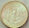 99 p reverse.jpg