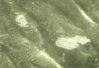 SS857627.JPG