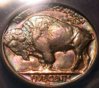 1909SIHCEF45BuffaloToned 019r599.jpg
