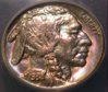 1909SIHCEF45BuffaloToned 022r599.jpg