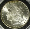 small_1881cc_morgan_ob.JPG