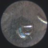 Picture 550-small.jpg