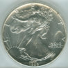 Silver Eagle Struck Thru.jpg