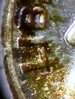 000_0018-3.jpg