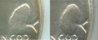 Both Coins Strike Thru.jpg