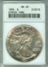 Silver Eagle MS63 Struck Thru.jpg