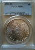 1900PCGS.jpg