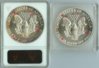 Silver Eagle Rev Die  Marks 1.jpg