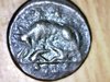 Romulus and remus Rome rev..jpg