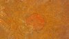 1969 S  Lincoln Cent   DDO date #15.jpg