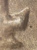 20190112_232400.jpg