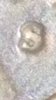 CM190115-182603004.jpg