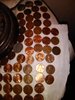 IMG_20190116_001923.jpg