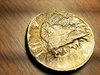 20190117_083822.jpg
