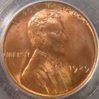 1929- PCGS C O.JPG