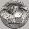Ultra-Rare Hooters Buffalo Nickel.jpg