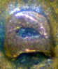 1942-D RPM2.jpg