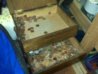 Coins in Drawer.jpg