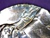 copper nickel close up date on top.jpg