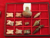 DSCN0880.JPG