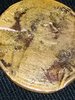 IMG_20190120_090913.jpg