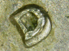 IMG_4408.PNG