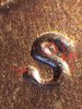 20190127_212623.jpg