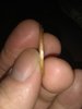 IMG_20190129_103534199.jpg