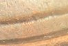 44567029-86DE-4D29-82D9-F56BAC8B1733.jpeg