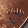 2016 close up.jpg