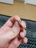 Resized_20190211_211353_7927.jpeg