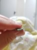 Resized_20190211_214719_3608.jpeg