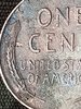 IMG_20190211_135556.jpg