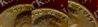 1975-D lam merged1-small.jpg
