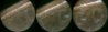 1975-D lam merged2-small.jpg