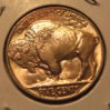 New Coins on the Block 009.jpg
