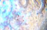 91042d1280388995-1909s.jpg