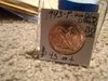 IMG_20190214_014137047.jpg
