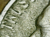 IMG_4606.PNG