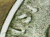 IMG_4601.PNG