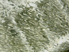IMG_4593.PNG
