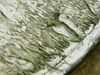 IMG_4589.PNG