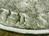 IMG_4592.PNG