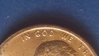 IMG_20190216_125033.jpg