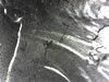S20190217_0012.jpg