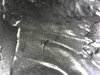 S20190217_0015.jpg